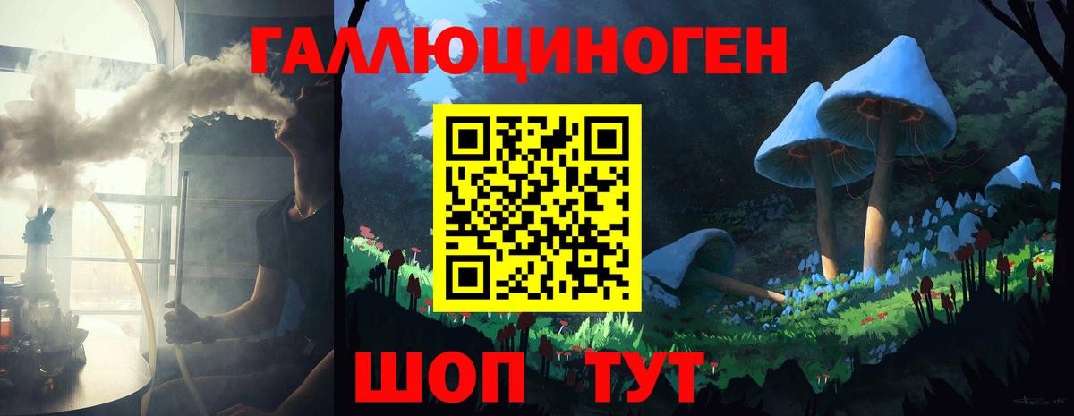 Псилоцибиновые грибы Cubensis Знаменск